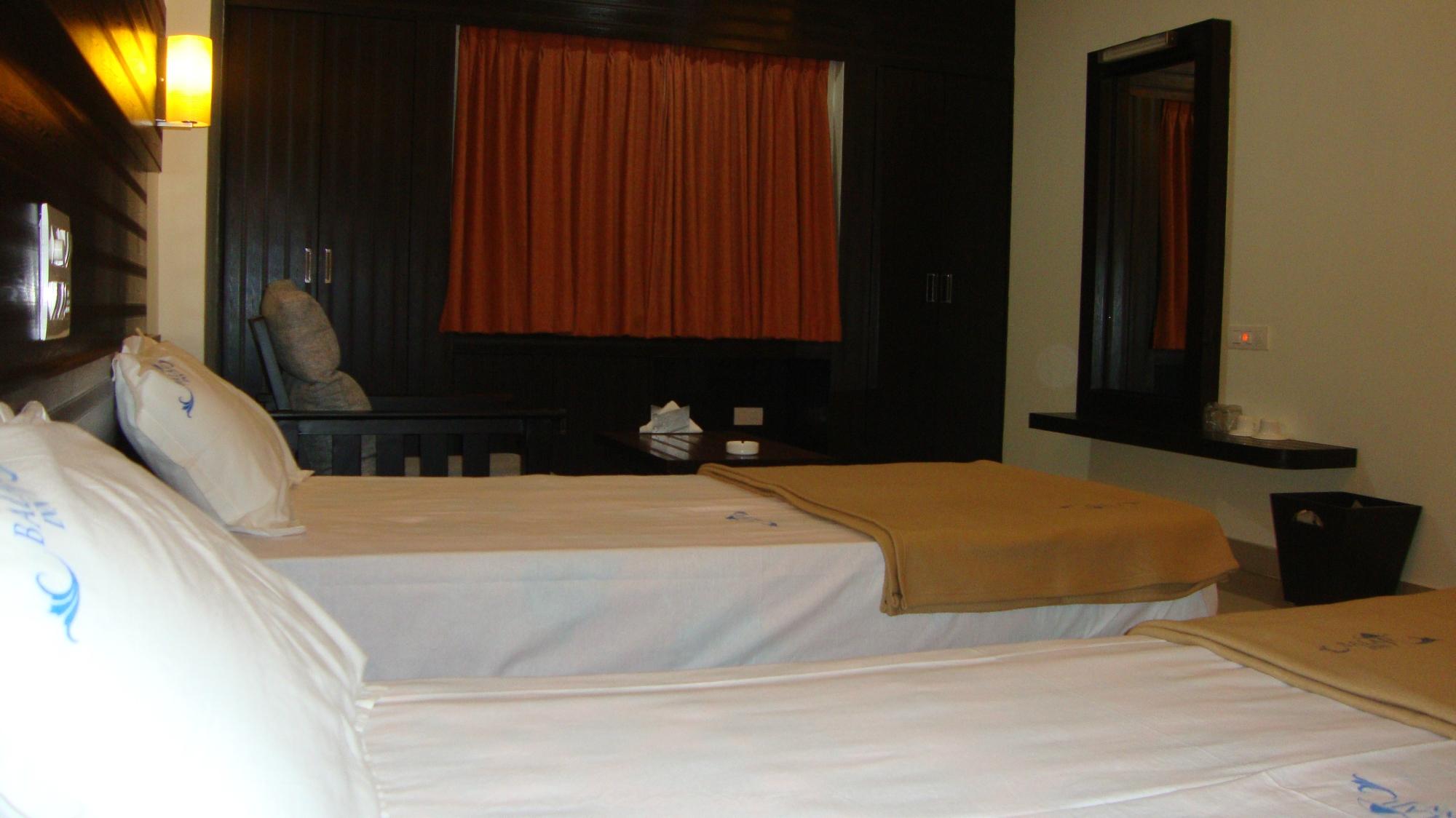 Balaji Inn-客卧