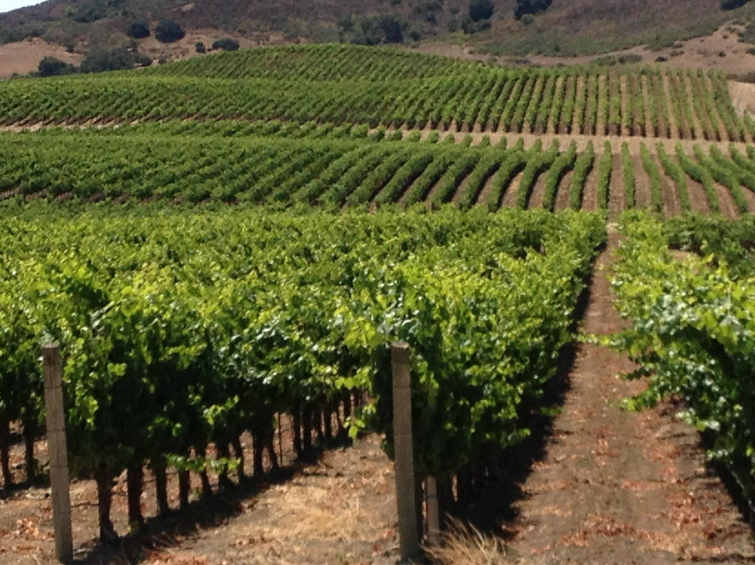 Solvang Wine Tours-索尔万必去景点