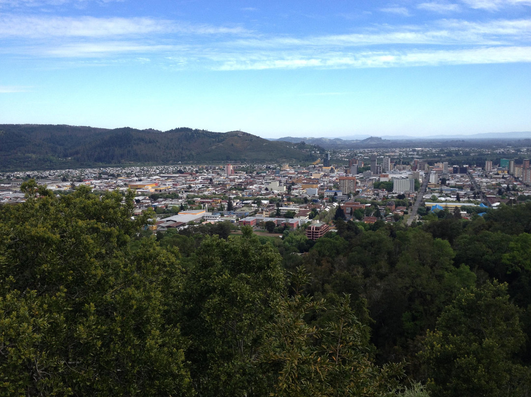 Monumento Natural Cerro Ñielol-特木科必去景点