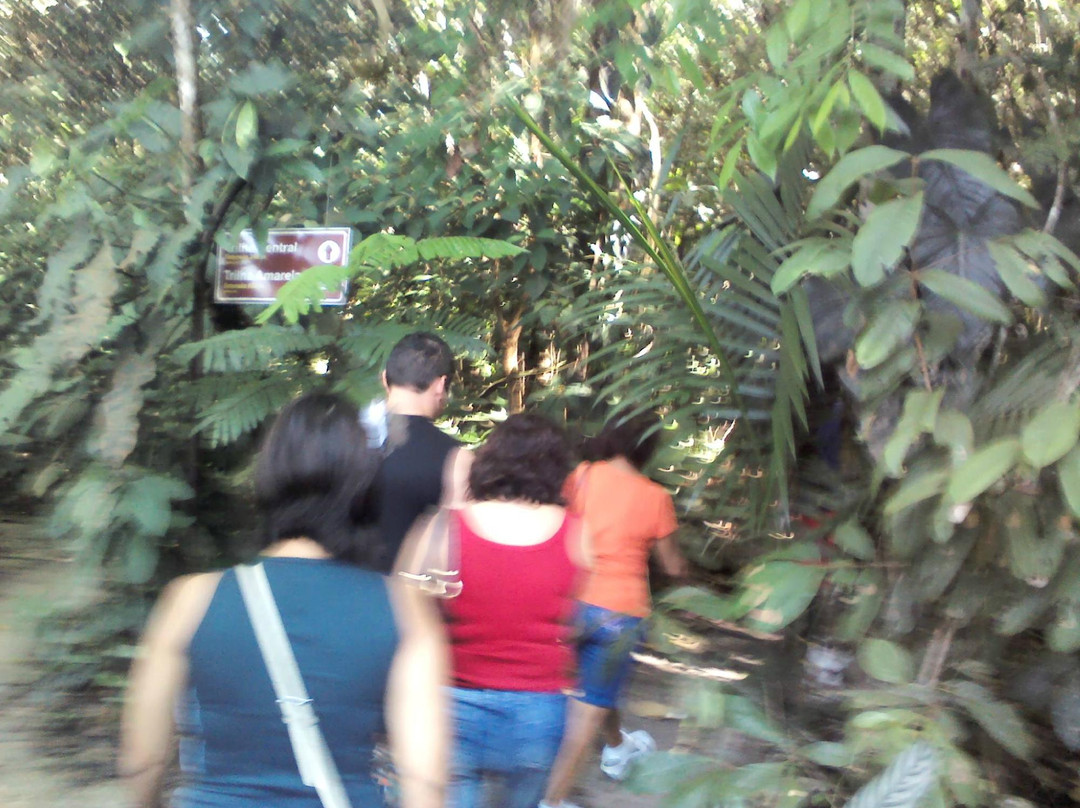 Silves旅游景点-Adolpho Ducke Forest Reserve