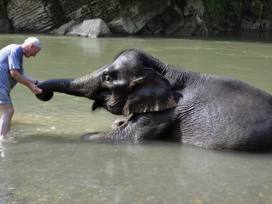 Elephant Camp-Tangkahan必去景点