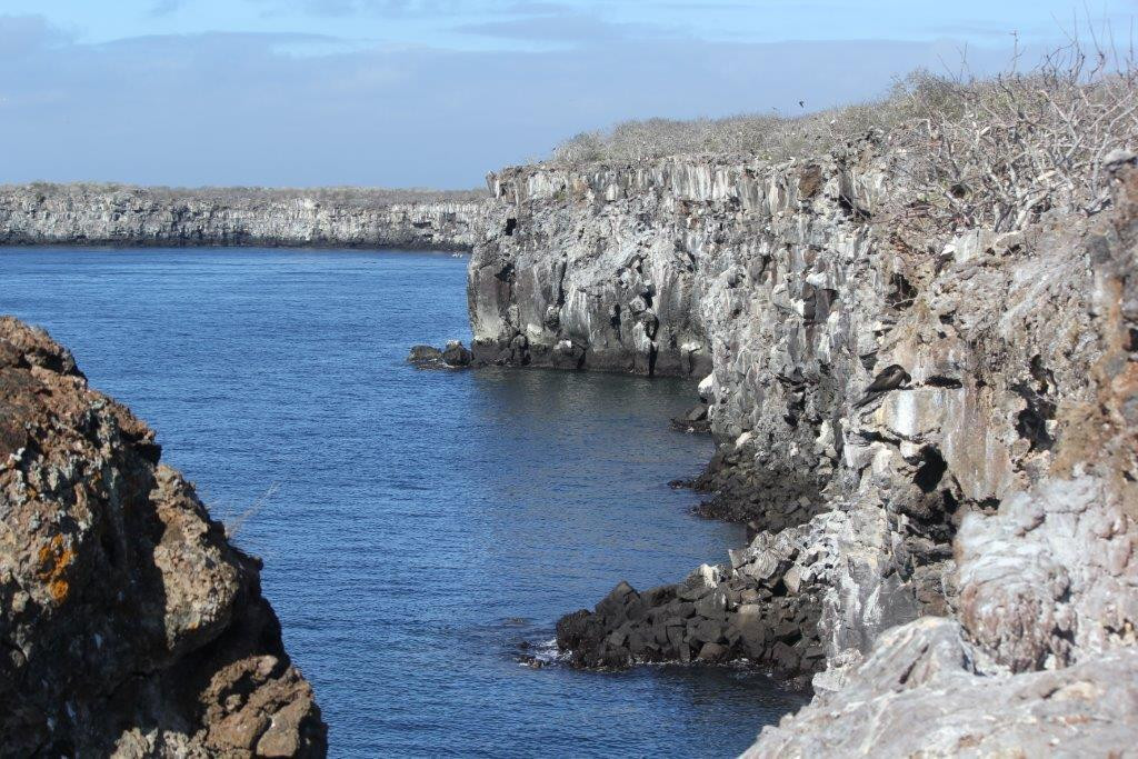 Genovesa旅游攻略图片