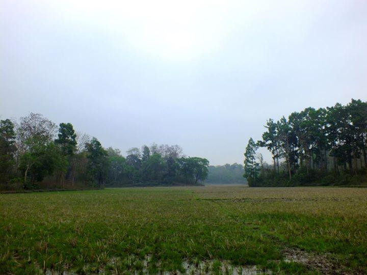 Rema-Kalenga Wildlife Sanctuary-锡尔赫特必去景点