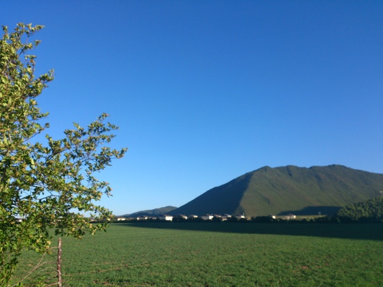 纳帕海自然保护区-香格里拉县必去景点