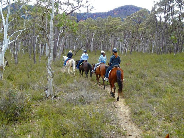 Centennial Glen Stables-布莱克希思必去景点