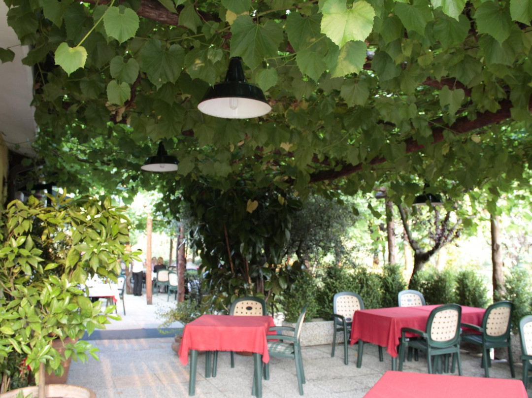 Alla Vigna