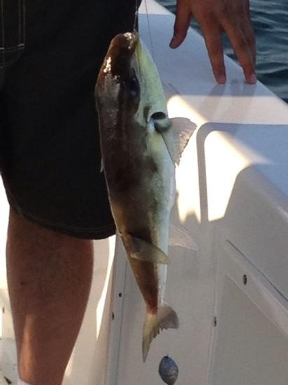 Dbayeh Fishing Club-Dbayeh必去景点