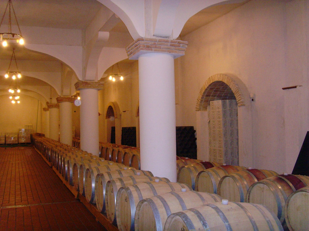 Wine Museum Tzivani景点图片