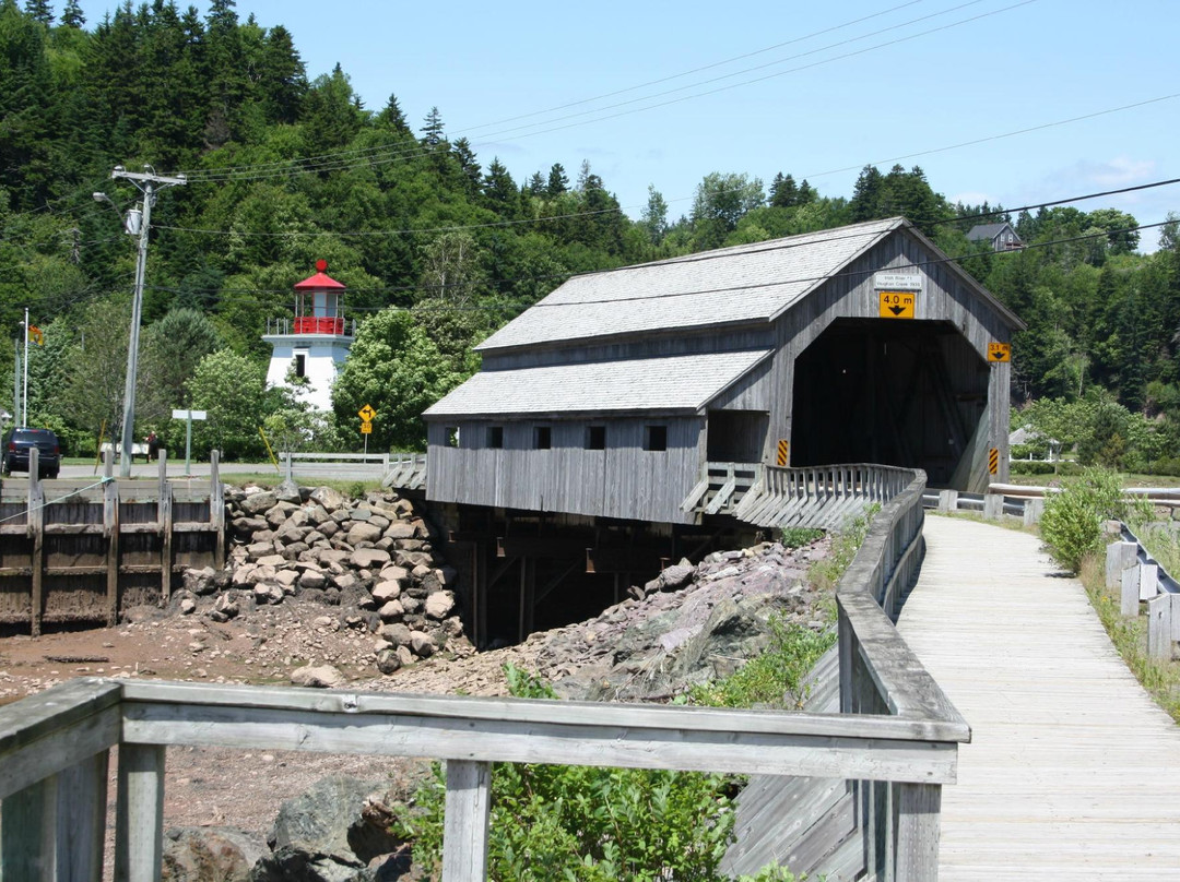 Dave's Taxi Tour Guys-圣约翰必去景点