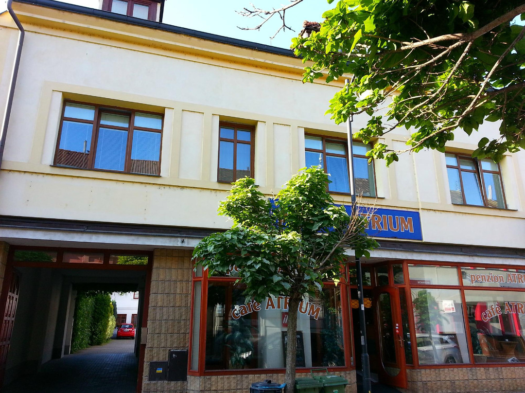 帕尔杜比采酒店住宿-Penzion Atrium