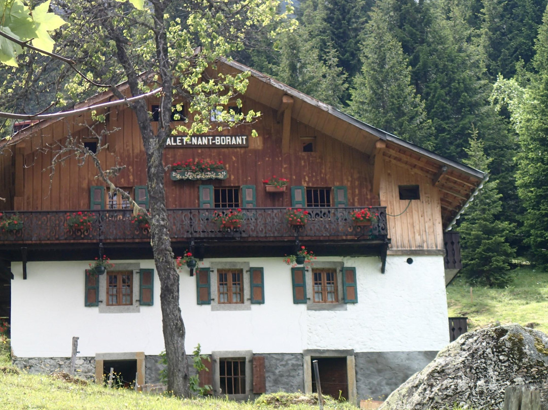 Chalet Refuge Nant Borrant
