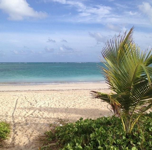 Praia de Tamandare-Tamandare必去景点