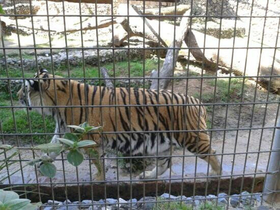 Parque Zoologico Municipal Quinzinho De Barros