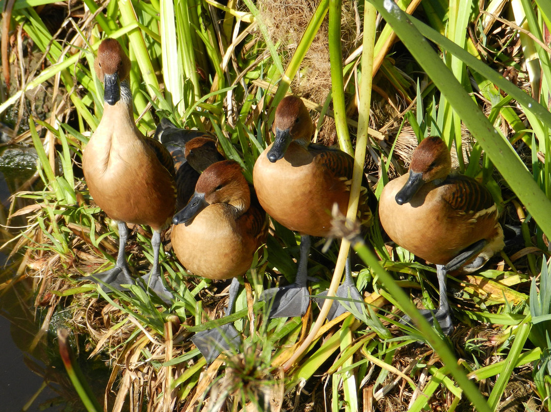 Birds of Eden-The Crags必去景点