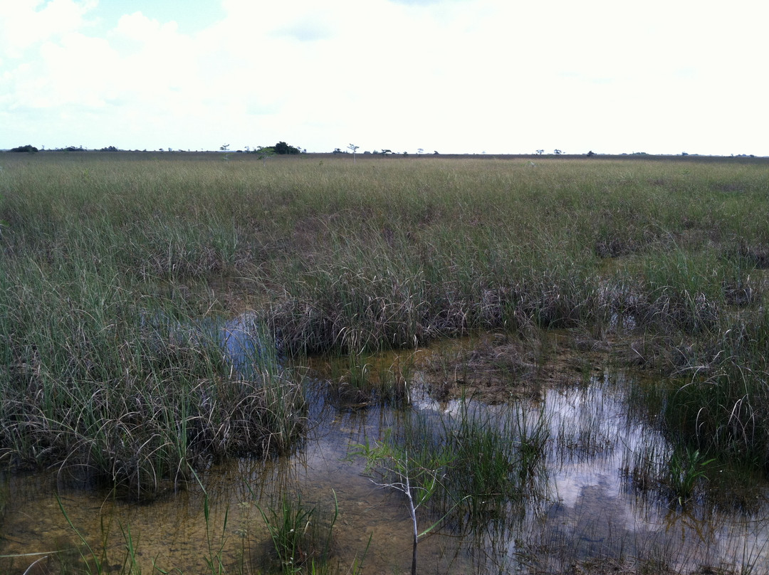 Pa-hay-okee Trail-大沼泽国家公园必去景点