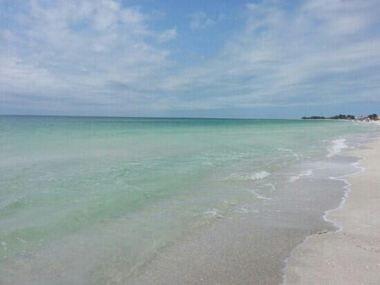 Manatee Public Beach景点图片