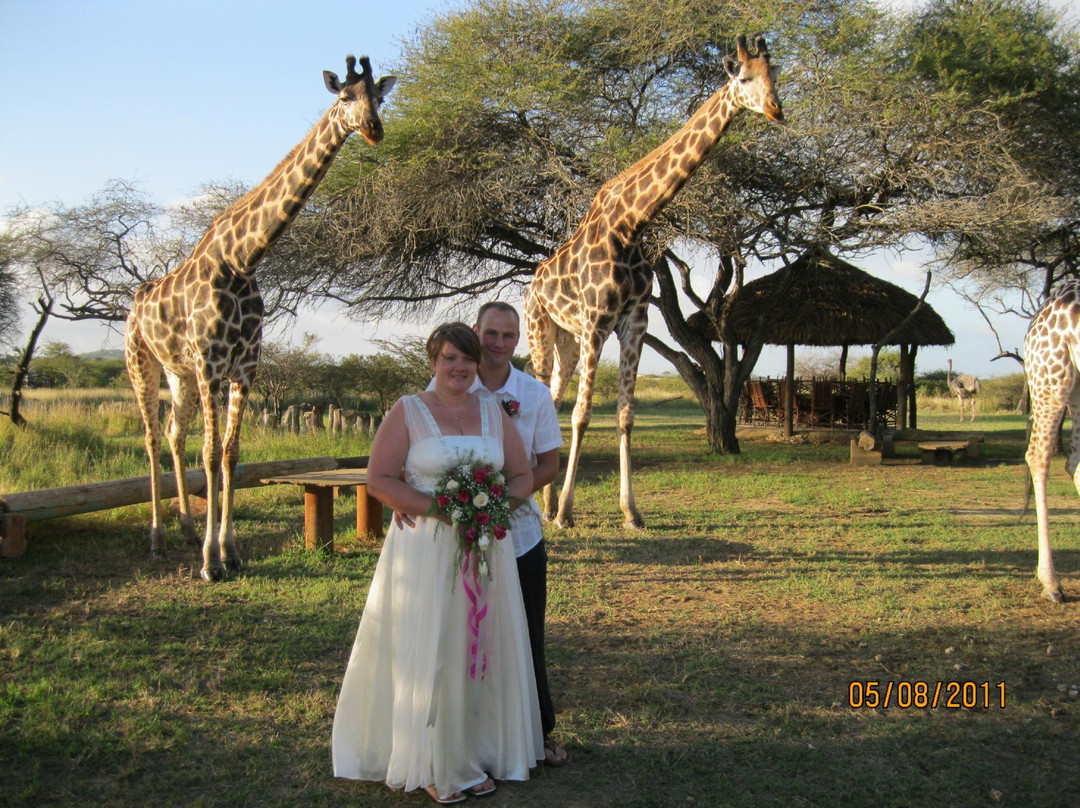Nguuni Nature Sanctuary-蒙巴萨必去景点