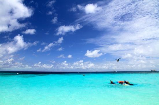 麦克拉斯沙岛-凯恩斯必去景点