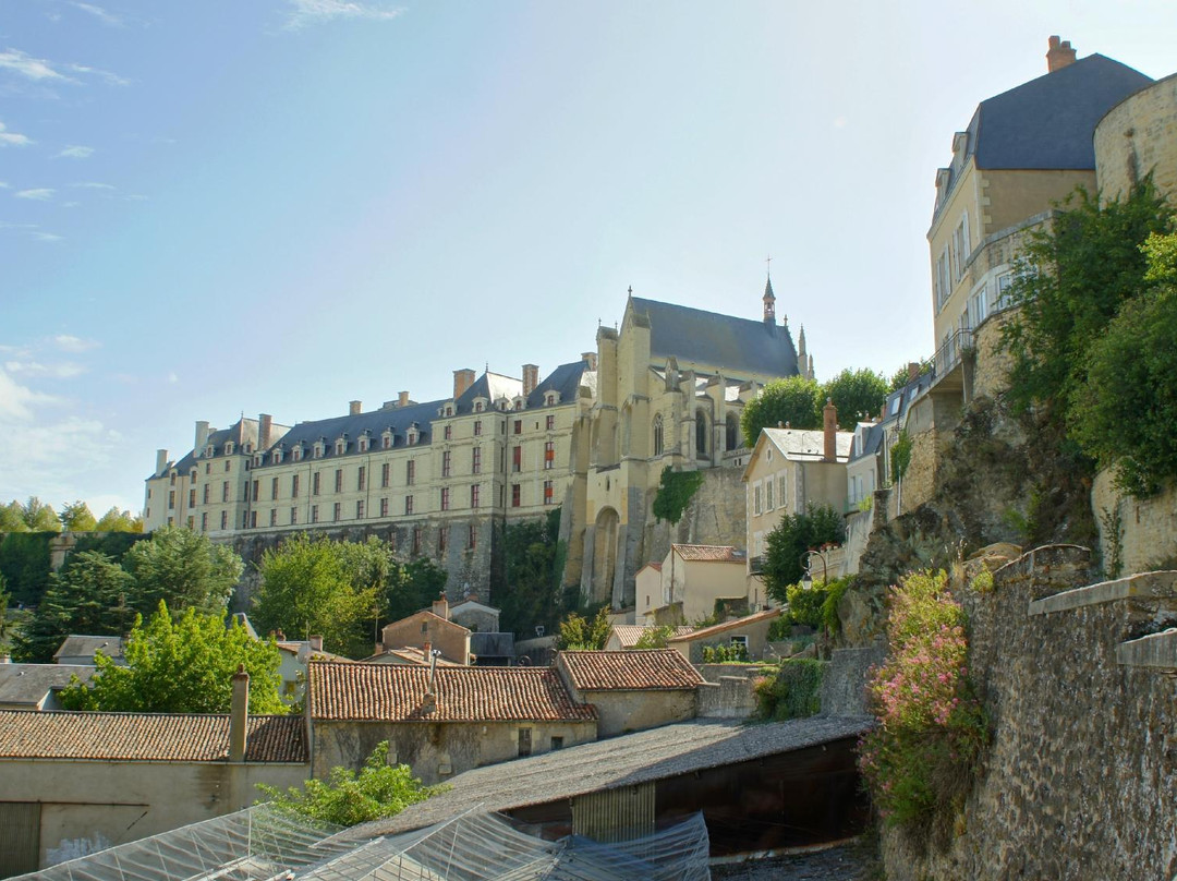Maison Du Thouarsais景点图片