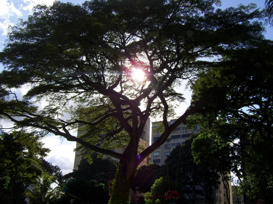 弗洛雷斯塔庄园-加拉加斯必去景点