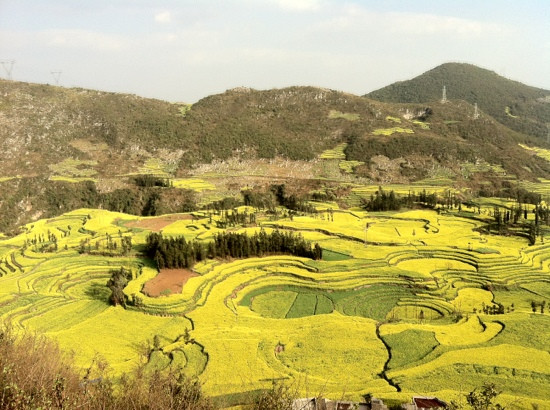 罗平螺丝田-罗平县必去景点