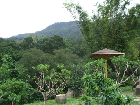 竹仙洞-珠海市必去景点