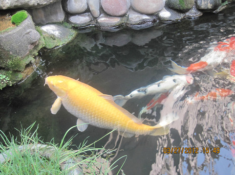 赏玉阁温泉会所主图