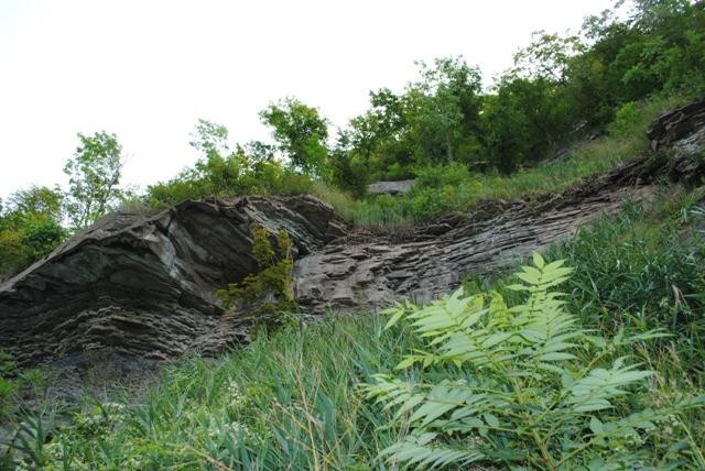 Niagara Gorge Trail-尼亚加拉大瀑布必去景点