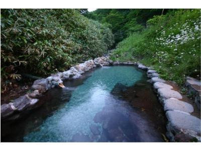那须町酒店住宿-Omaru Onsen Ryokan