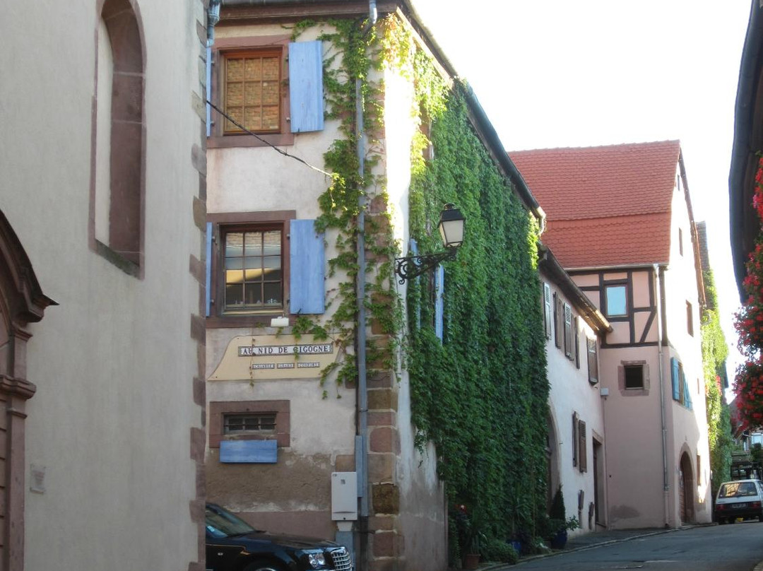 Zellenberg酒店住宿-Au Nid de Cigogne