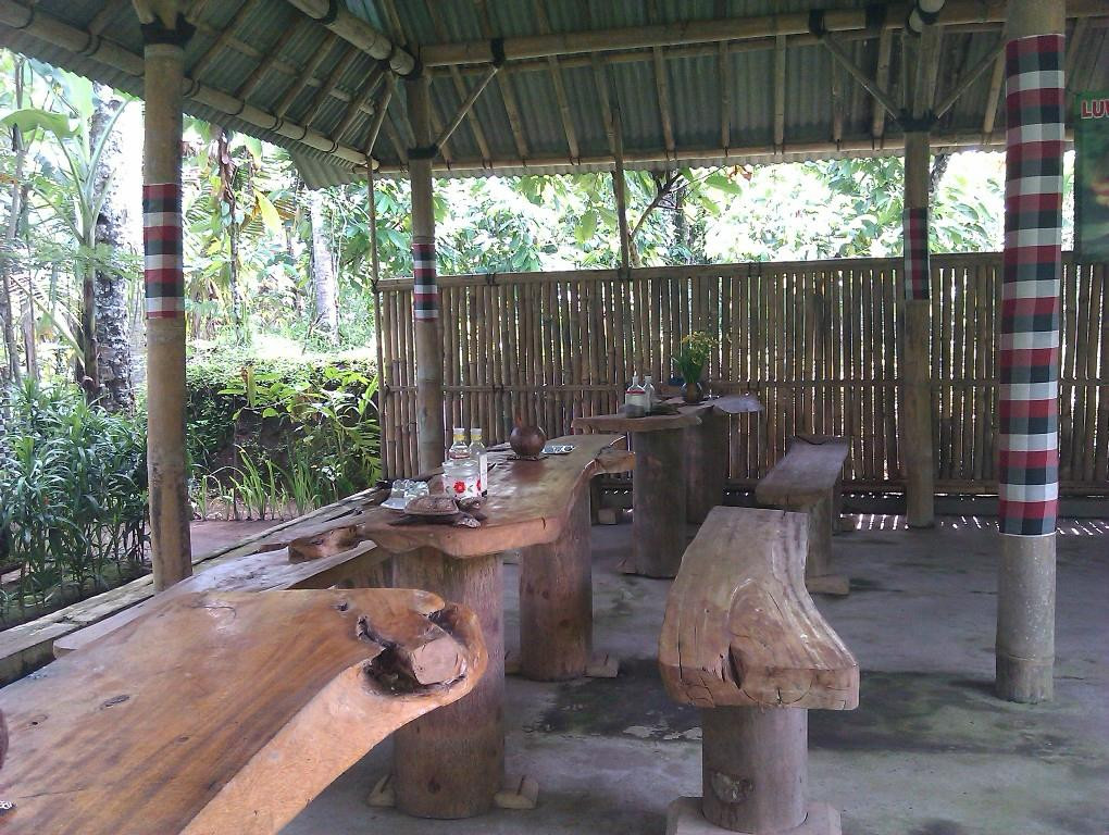 Taman Nadi Agro景点图片