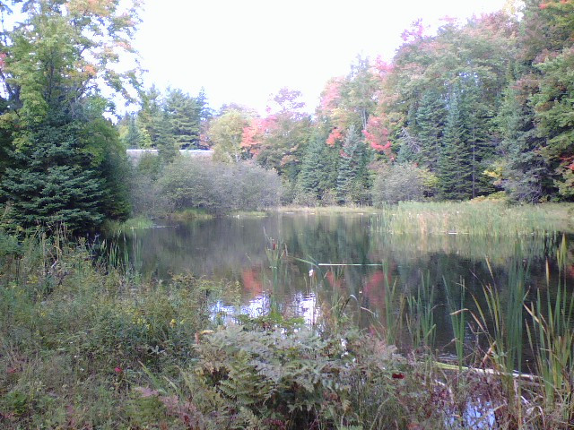 Valley Spur-缪尼辛必去景点