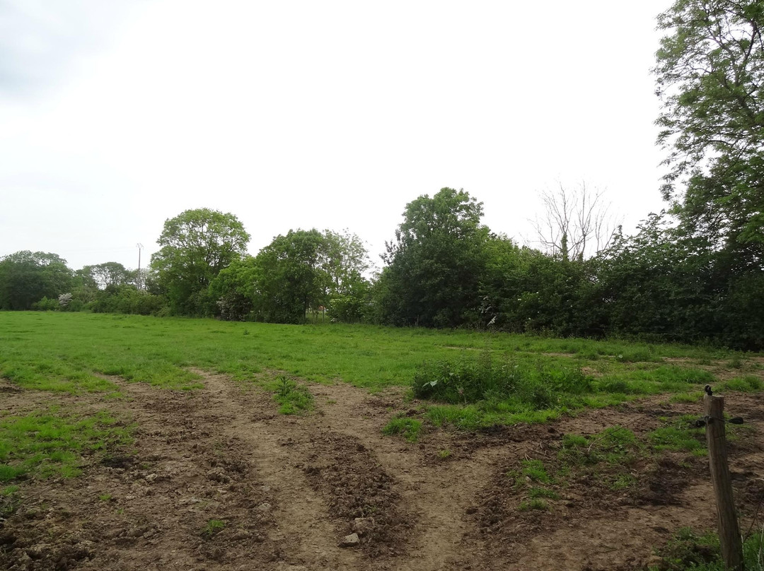 D-Day Historian - Paul Woodadge-巴约必去景点