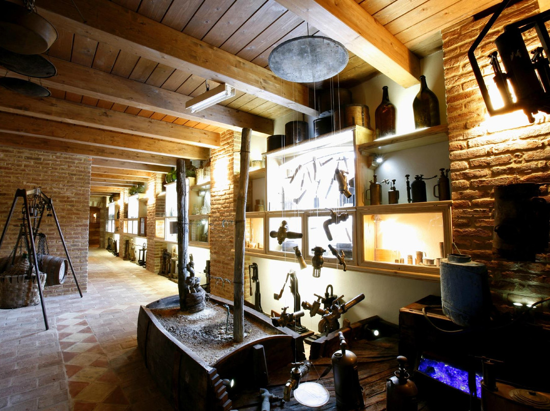 Museo ArteVino Razzano景点图片