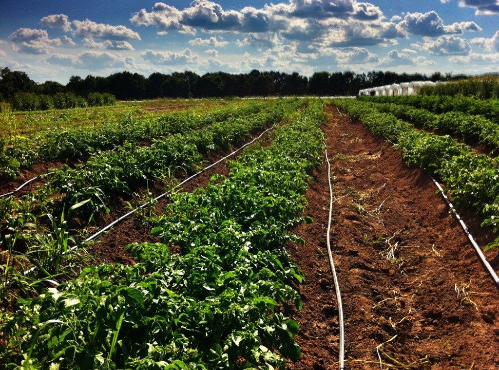 Blue Moon Acres-Pennington必去景点