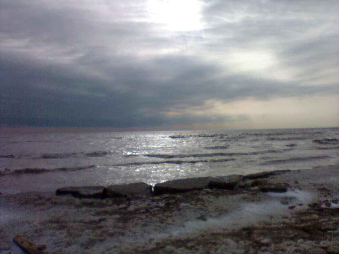 Long Point Provincial Park景点图片