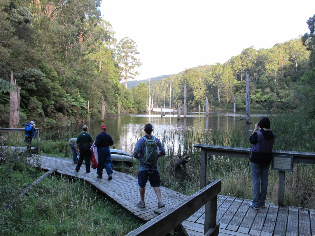 Paddle with the Platypus-Forrest必去景点