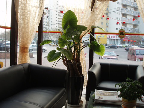 北京速8草桥店主图