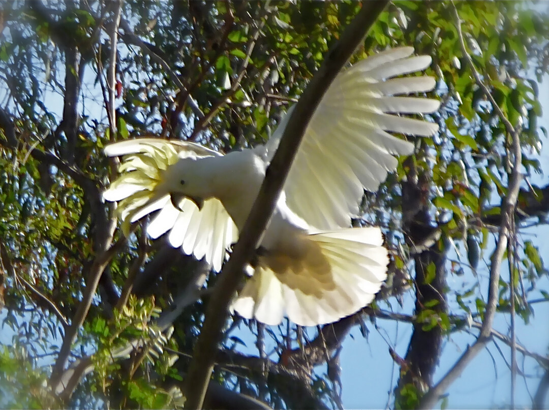 Royal National Park Visitor Centre-Royal National Park必去景点