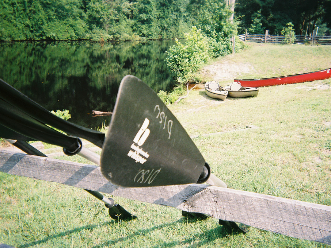 Dismal Swamp State Park景点图片