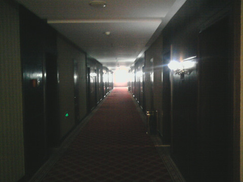 平原桃园宾馆主图