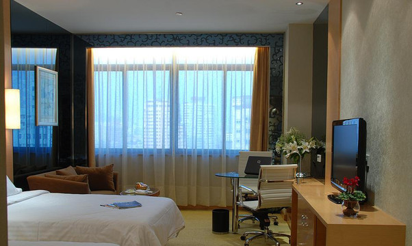 武汉帝盛酒店(江汉路步行街汉口江滩店)主图