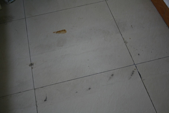 国际青年旅舍主图