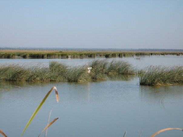 Parque Nacional de Doñana-阿尔蒙特必去景点