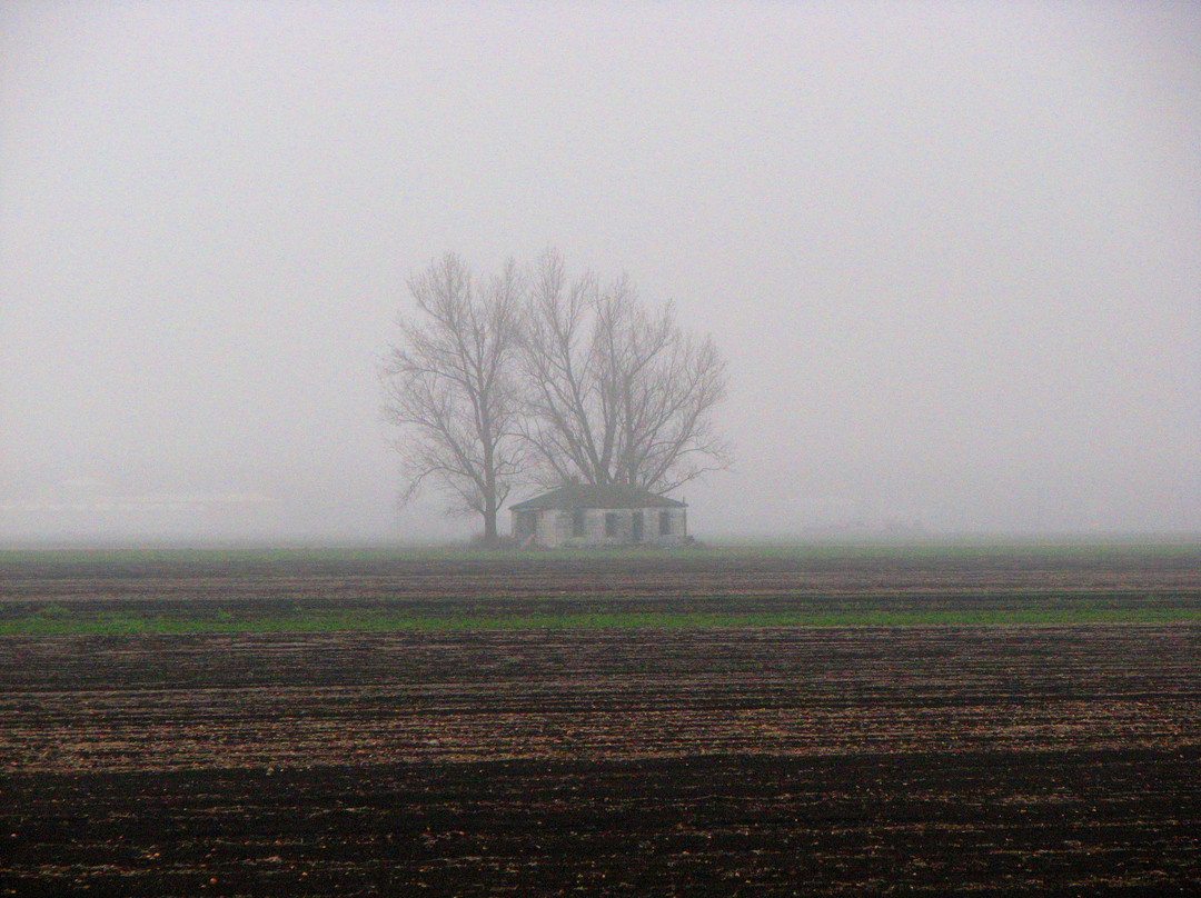 Holland Marsh-Bradford West Gwillimbury必去景点