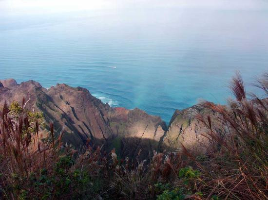 科基州立公园-科卡哈必去景点