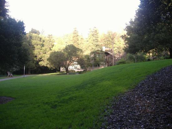 加州大学伯克利分校-伯克利必去景点