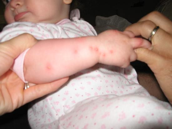 Universal Resorts Kissimmee主图