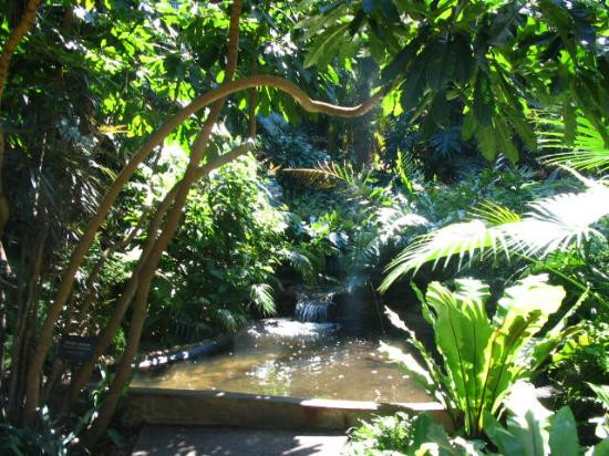Sunken Gardens-圣彼德斯堡必去景点