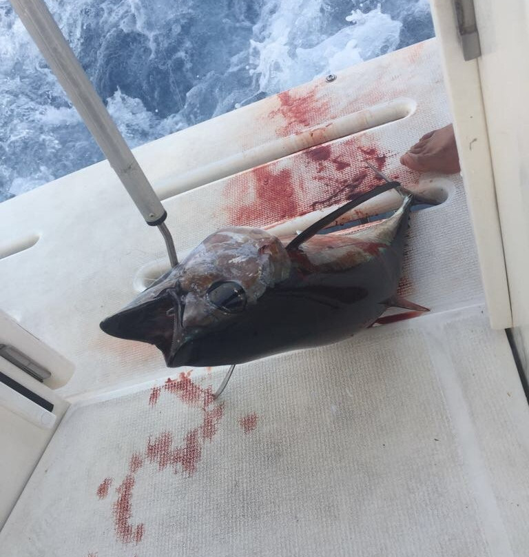 Cyprus Offshore Fishing-克利尼亚必去景点